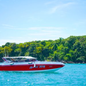 Speed Boat(2)-2